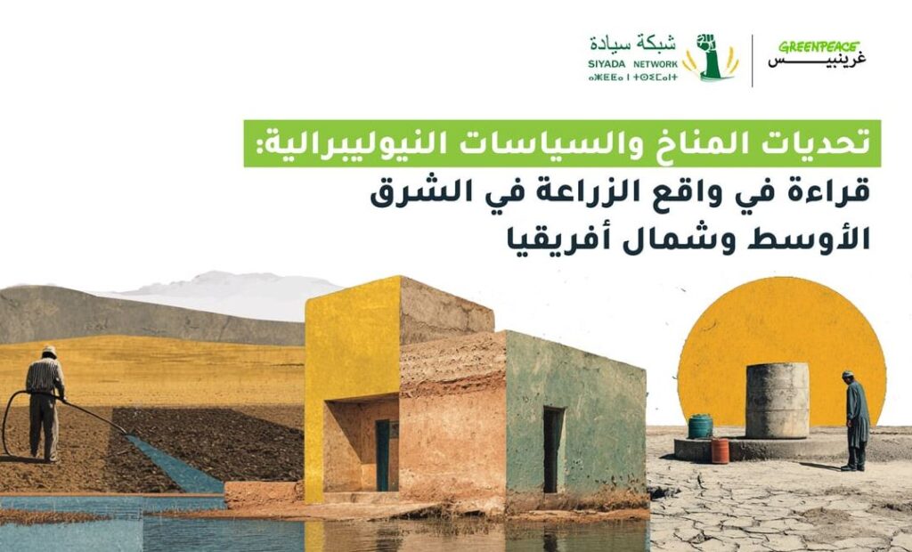 غرينبيس الشرق الأوسط وشمال أفريقيا وشبكة “سيادة” تطلقان سلسلة مقالات تكشف تحدّيات القطاع الزراعي في 5 دول من المنطقة